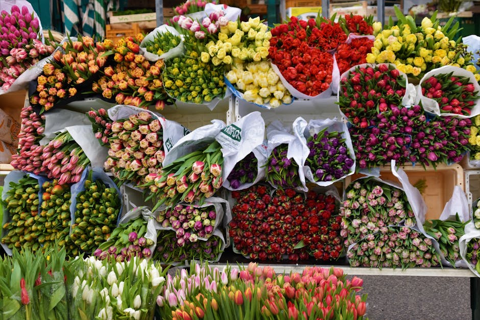 Myths About Imported vs British Cut Flowers--Busted